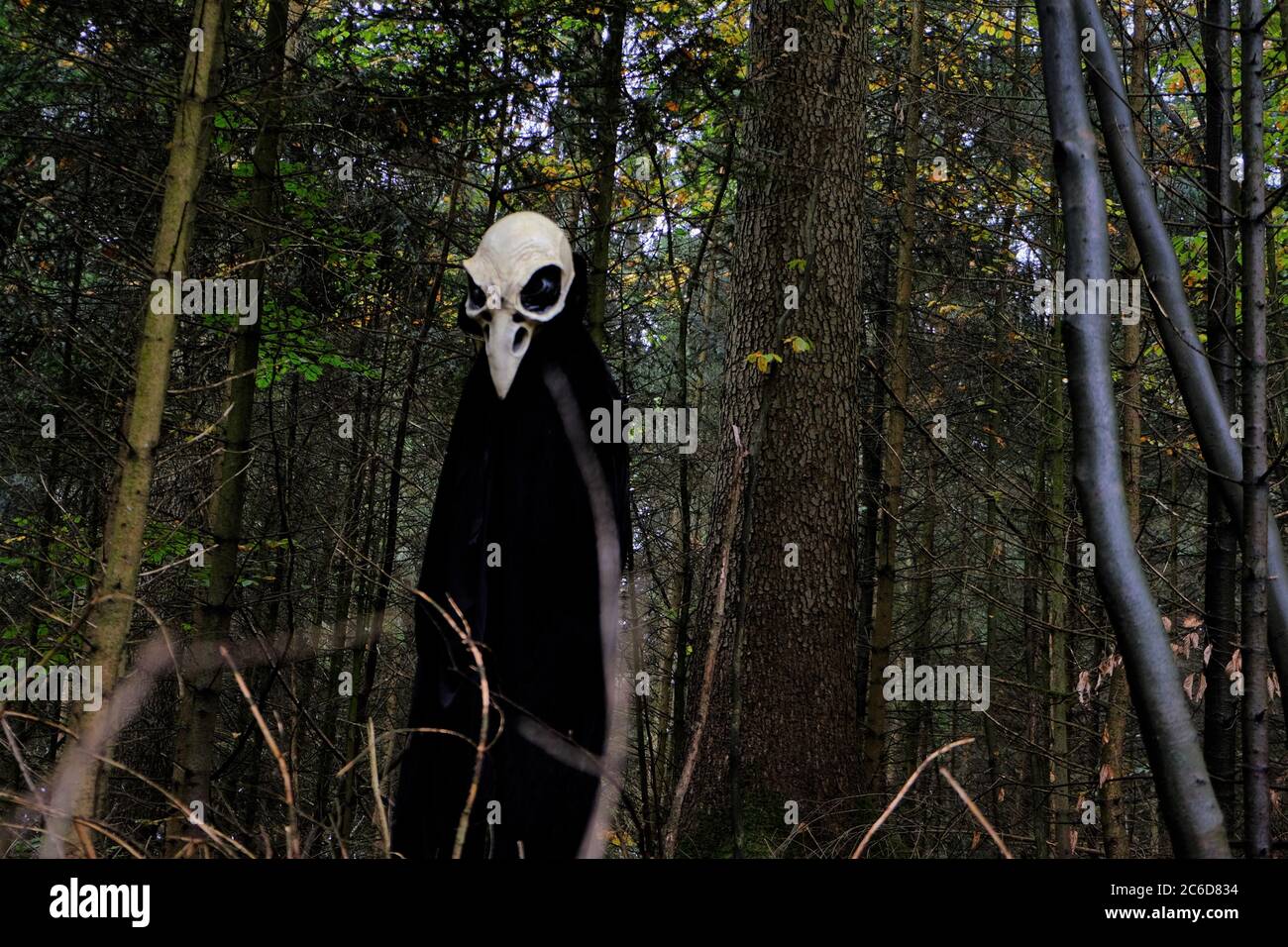 Halloween vacanze . Costume cranio. Spaventoso uccello nel buio autunno Forest.Horror e paura. Storie di mistero e terribili . Fantasia scuro simbolo. Uomo Foto Stock