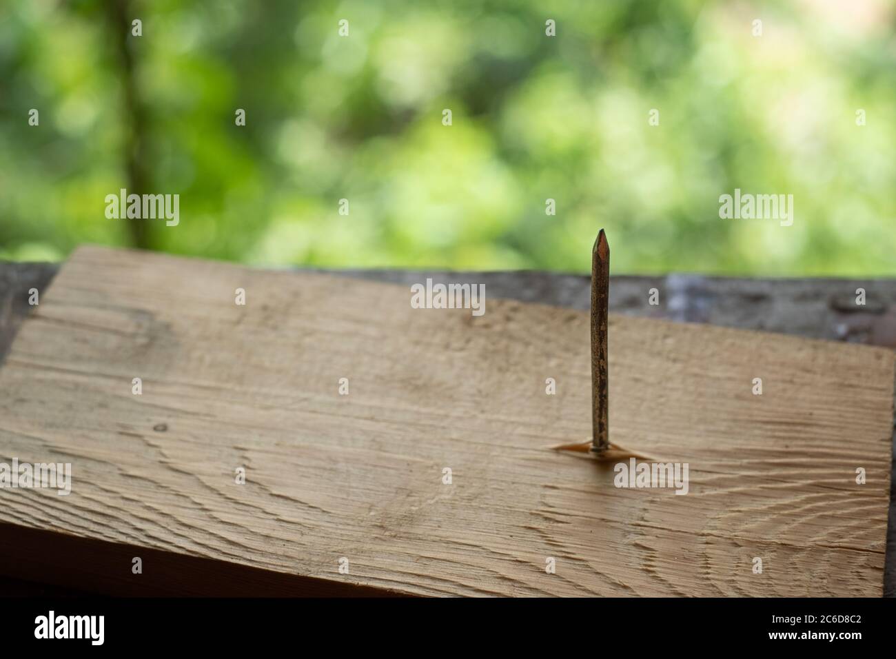 Chiodi tappati sulla piastra di legno a sfondo verde sfocato Foto Stock