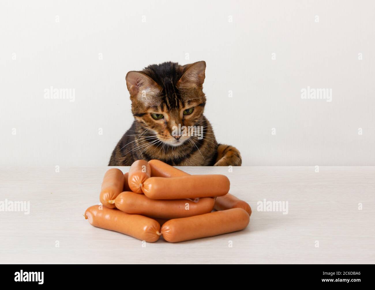 Gatto domestico affamato che è tentato da salsicce sul tavolo Foto Stock