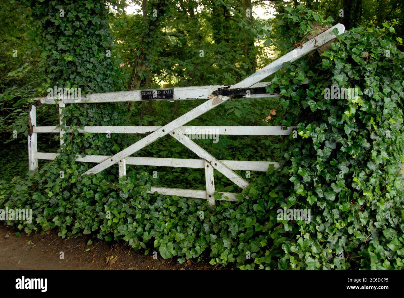 Ingresso di un commerciante disusato a lungo alla tenuta di Sedgeford Hall, ora bloccato da edera e altra vegetazione, Norfolk, Inghilterra Foto Stock