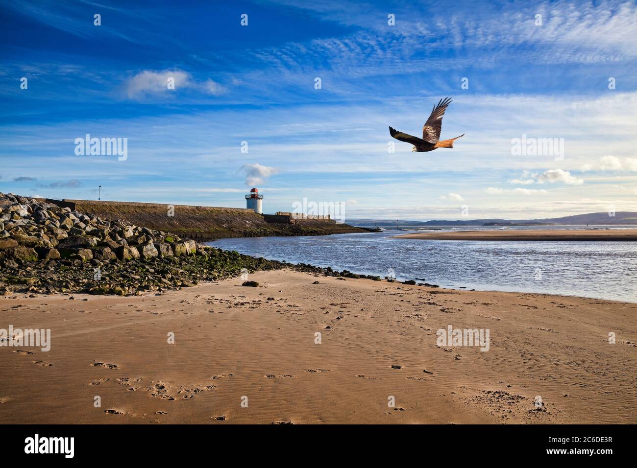 Faro georgiano a Burry Port Carmarthenshshire Wales vicino alla penisola di Gower presso l'estuario di Loughor con un rapitore di aquiloni rosso che vola in volo Foto Stock