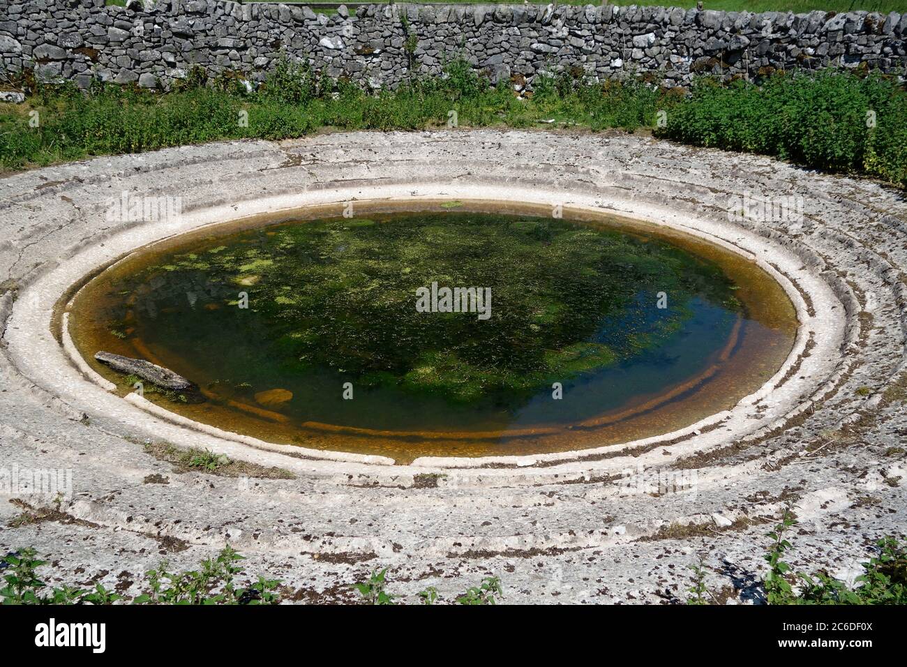 Circolare o circolare cemento fiancheggiato Wildlife Pond o piscina, una forma di Wildlife Habitat Management o Nature Conservation a giugno, Regno Unito Foto Stock
