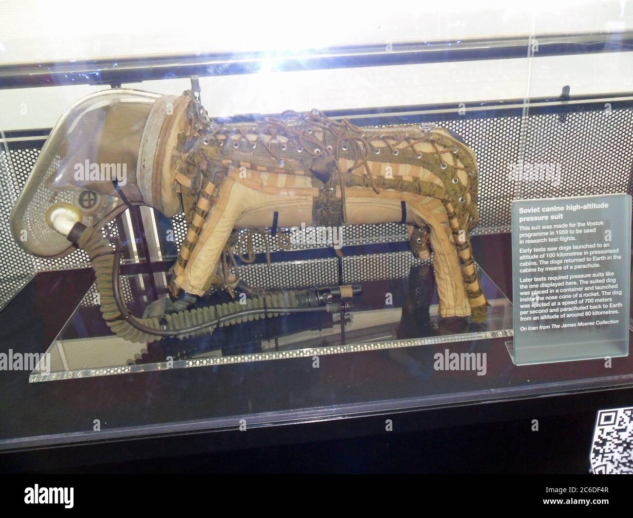 Questo abito da pressione canino sovietico ad alta quota è stato realizzato per il programma Vostok nel 1959 per essere utilizzato nei voli di ricerca. In esposizione nel National Space Center, Leicester, Regno Unito. Foto Stock
