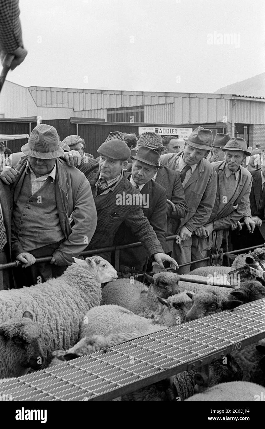 Allevatori di pecore in vendita ad Abergavenny, Monboccuthshire, Galles, 1978 Foto Stock