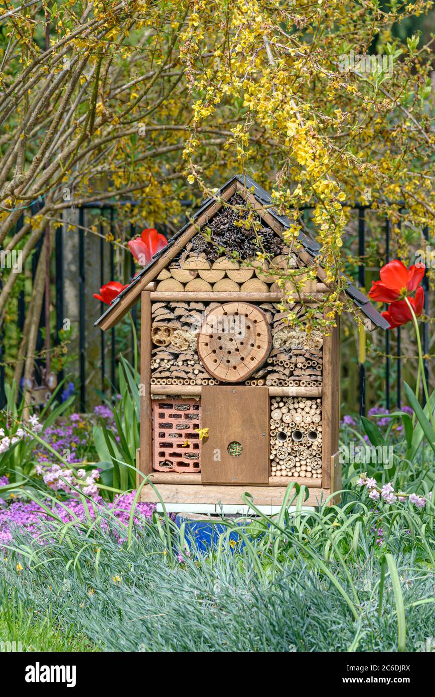 Insekten-Hotel, Insect Hotel Foto Stock