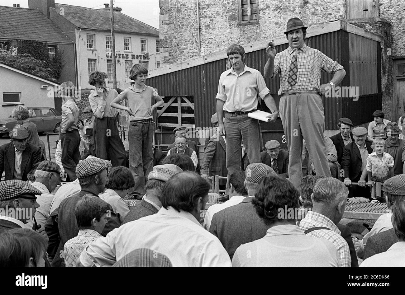 Vendita di pecore, Llandovery, Carmarthenshire, Galles, 1977 Foto Stock