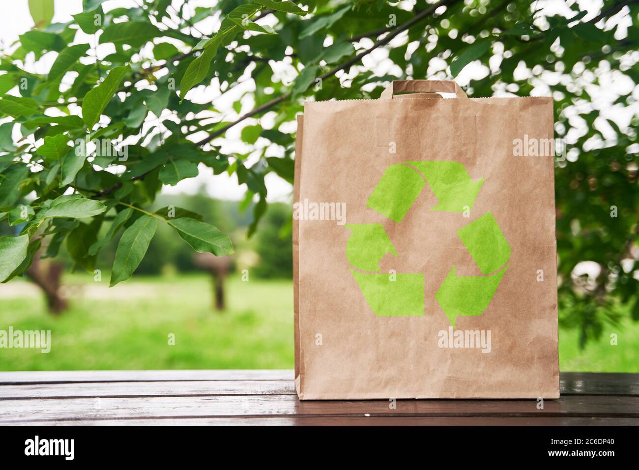 Il sacchetto di carta vuoto si trova su un tavolo di legno sullo sfondo delle foglie verdi. Concetto di shopping. Spazio di copia. Foto Stock