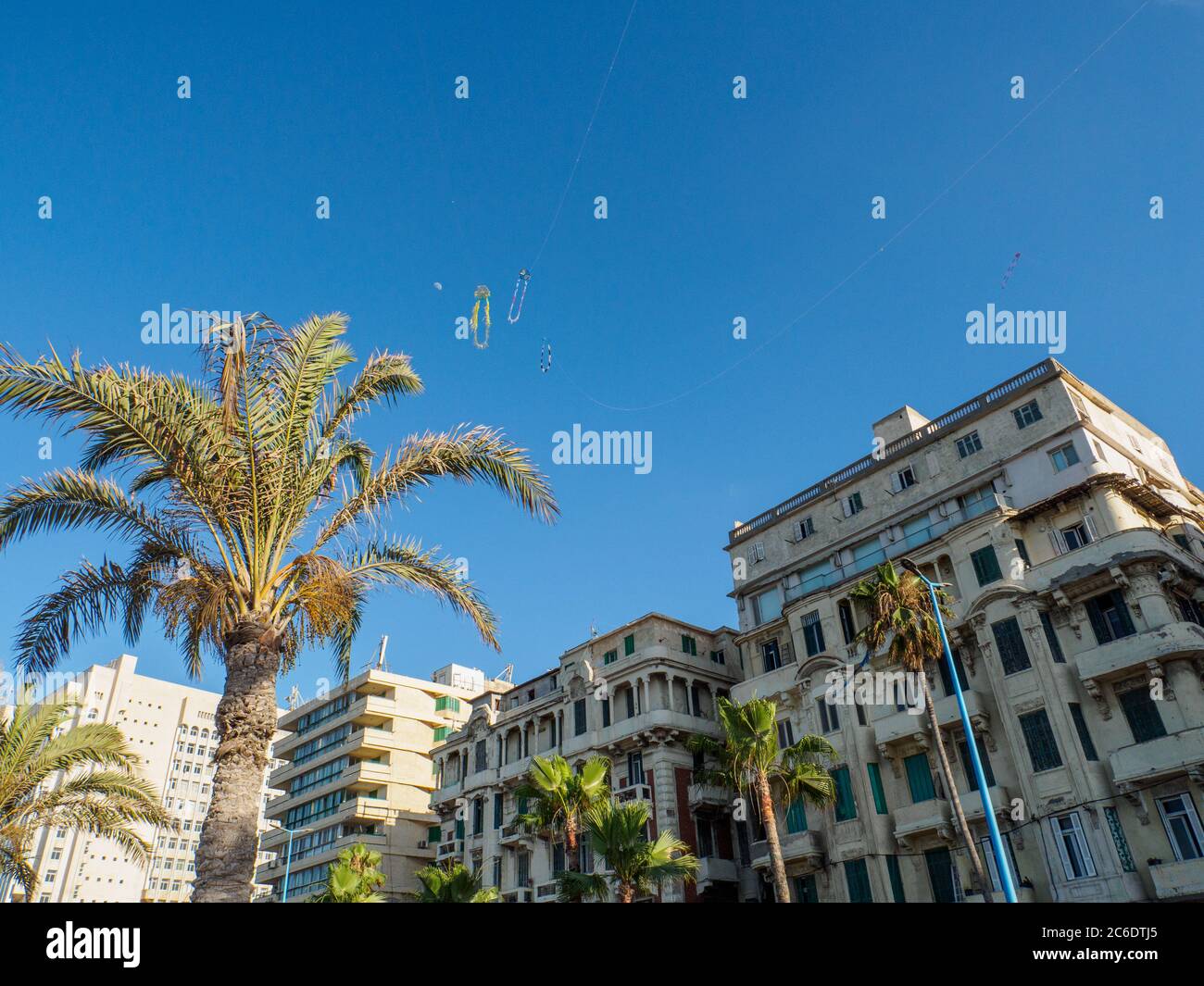 Alcuni aquiloni ad Alessandria di fronte ad un vecchio edificio coloniale Foto Stock