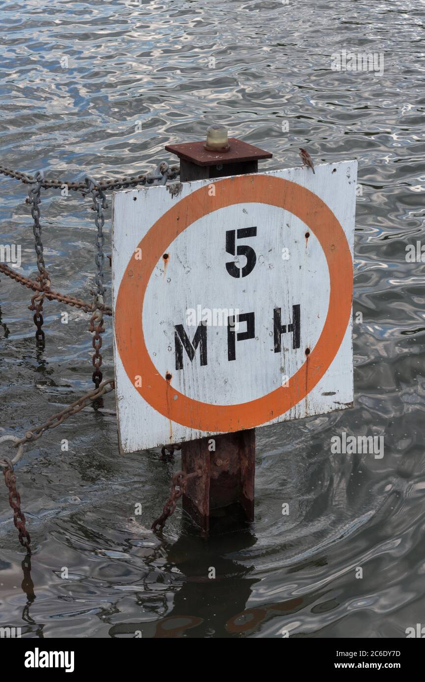 Cartello che indica un limite di velocità di 8 miglia all'ora con un uccello appollaiato sulla cima, nel fiume East o Harlem Foto Stock