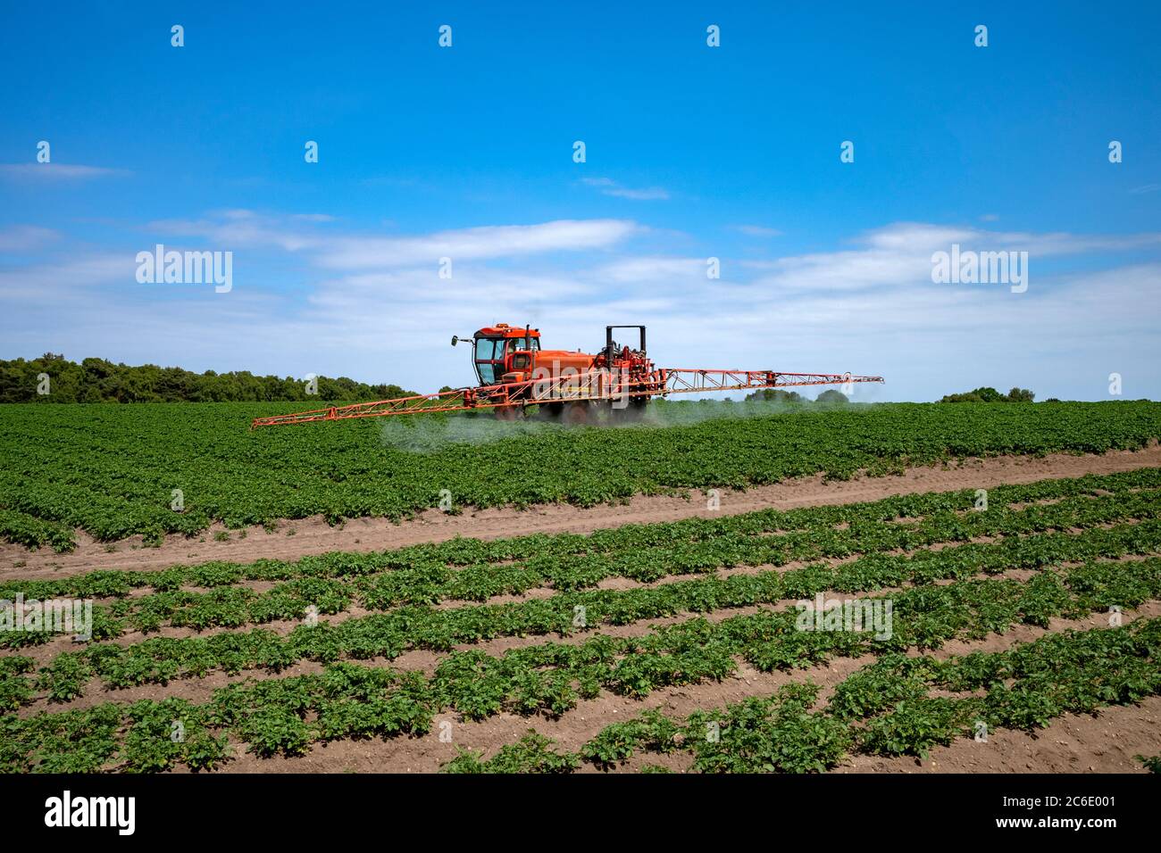 Pesticidi applicati ad una coltura di patata Foto Stock