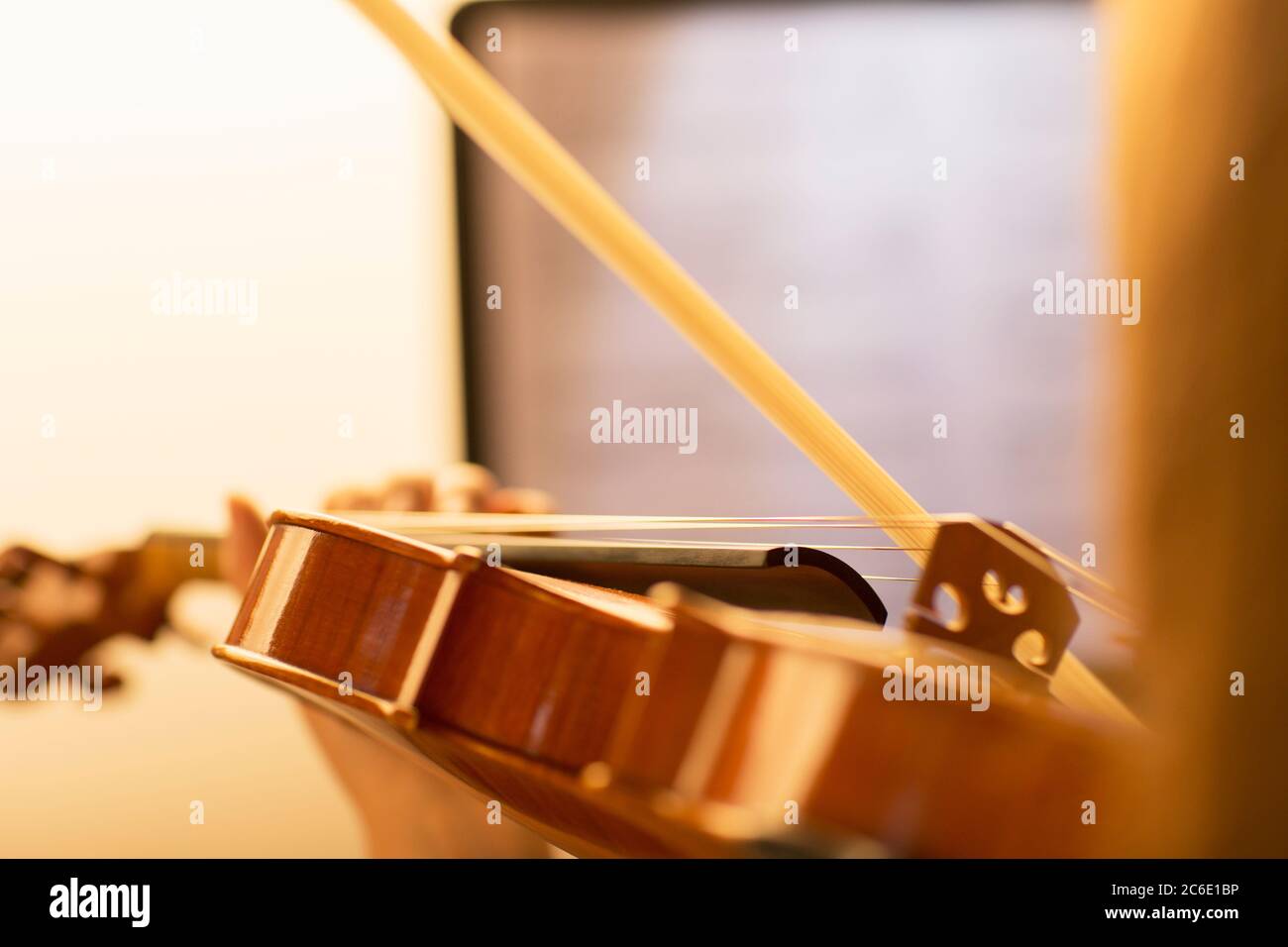 Primo piano di violinista esecuzione Foto Stock
