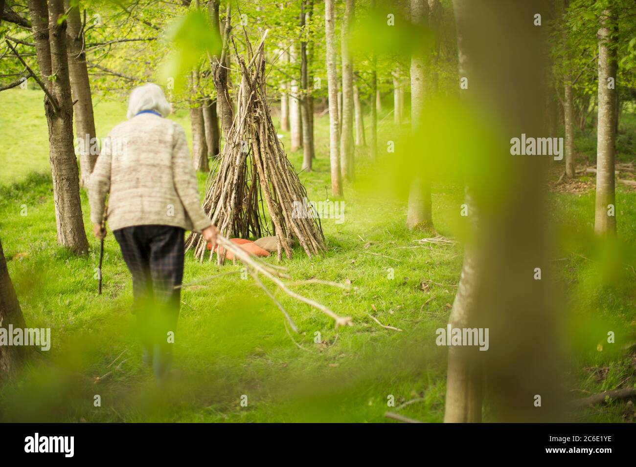 Donna anziana che fa il teepee del ramo in bosco Foto Stock