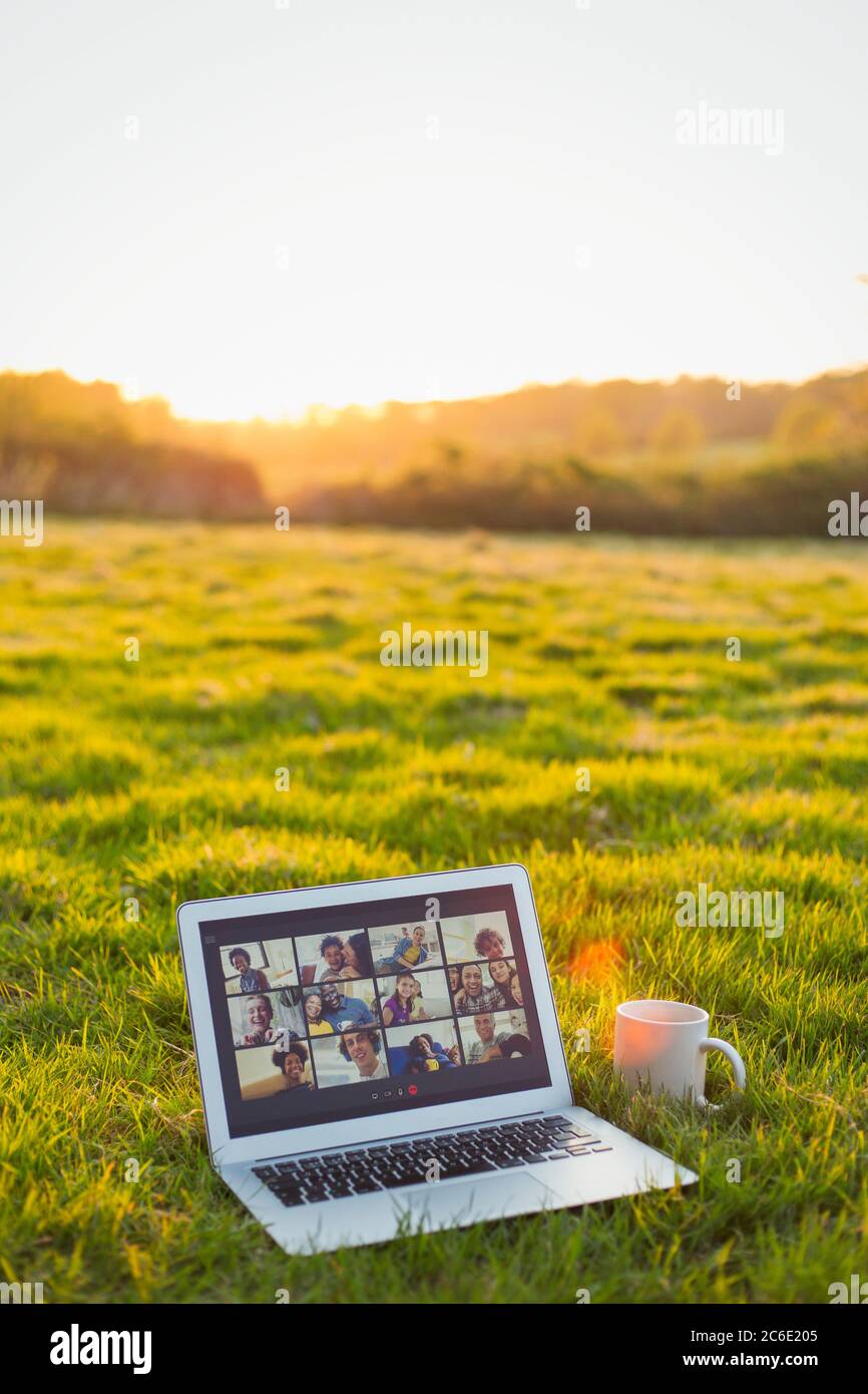 Video chat su laptop in erba soleggiato Foto Stock