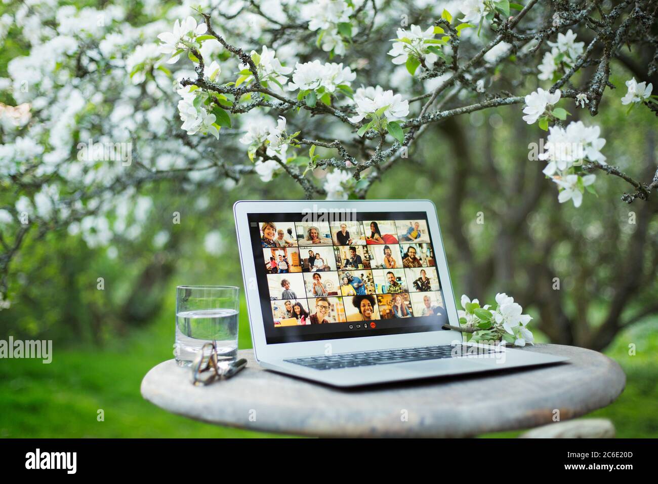 Video chat sullo schermo in giardino Foto Stock