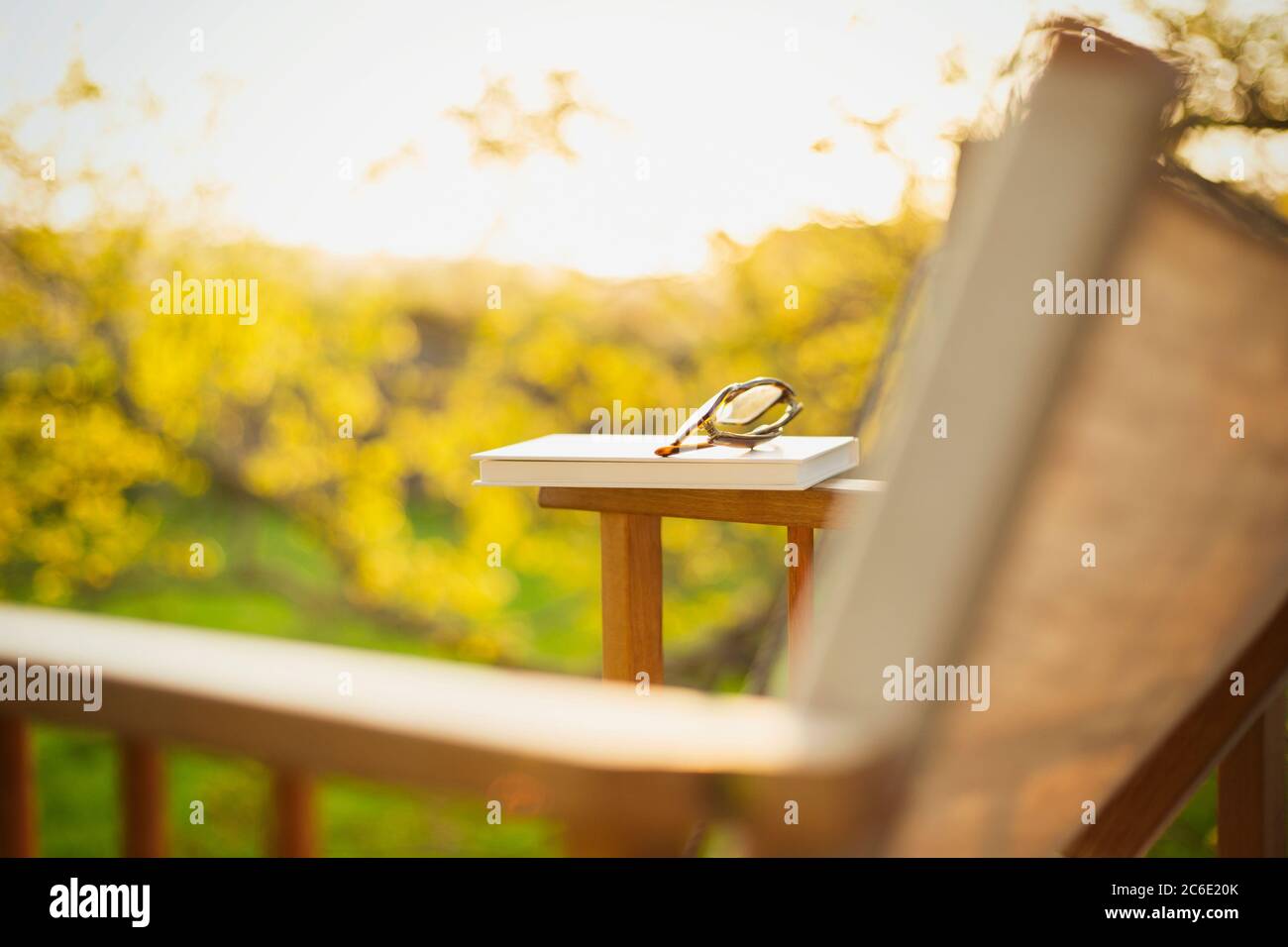 Libro e occhiali su sedia da prato in giardino soleggiato Foto Stock