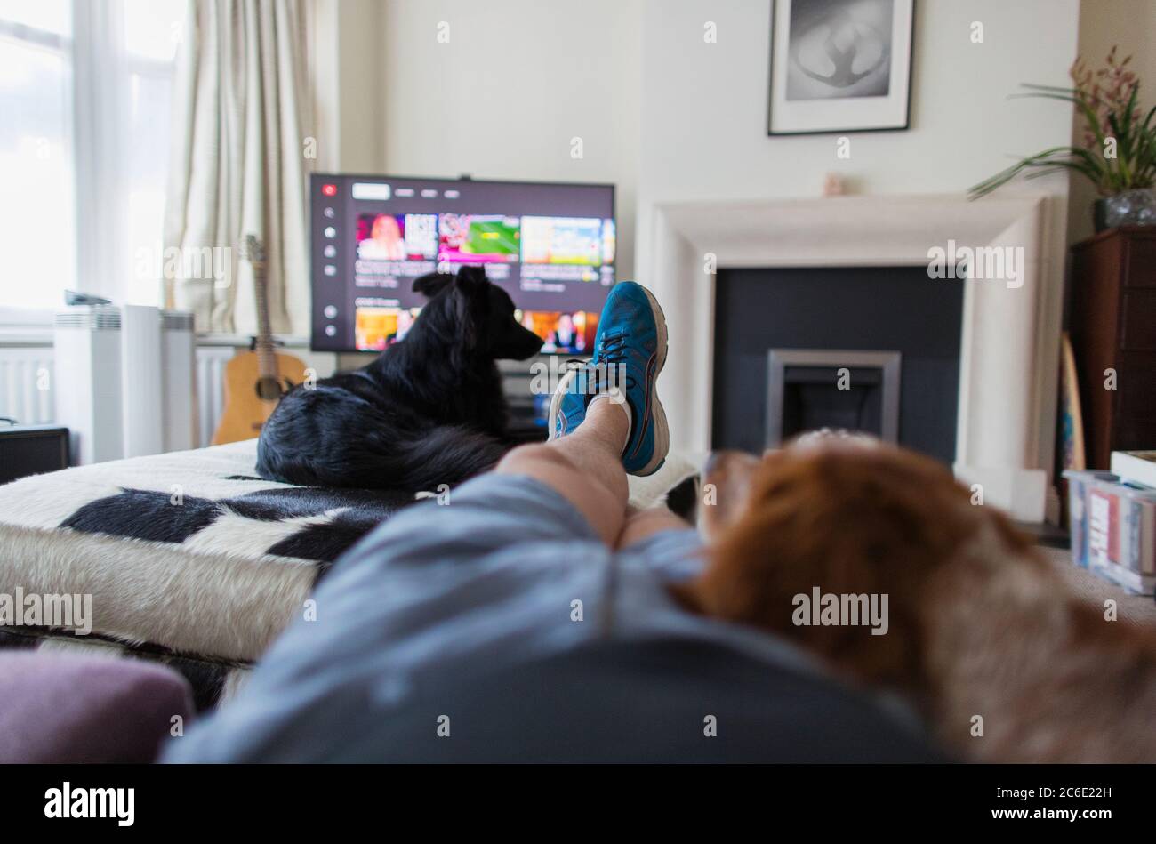POV uomo e cani rilassarsi e guardare la TV in soggiorno Foto Stock