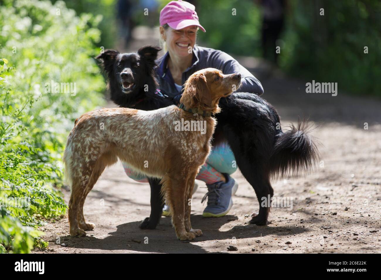 Donna felice con cani sul sentiero escursionistico Foto Stock