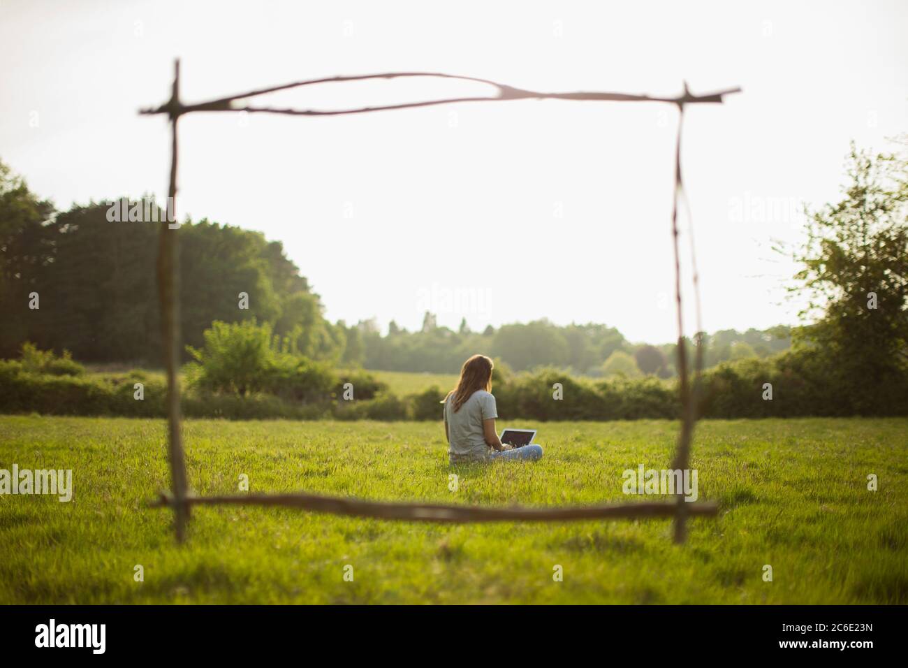 Telaio di ramo su giovane donna utilizzando il laptop in campo di erba soleggiato Foto Stock