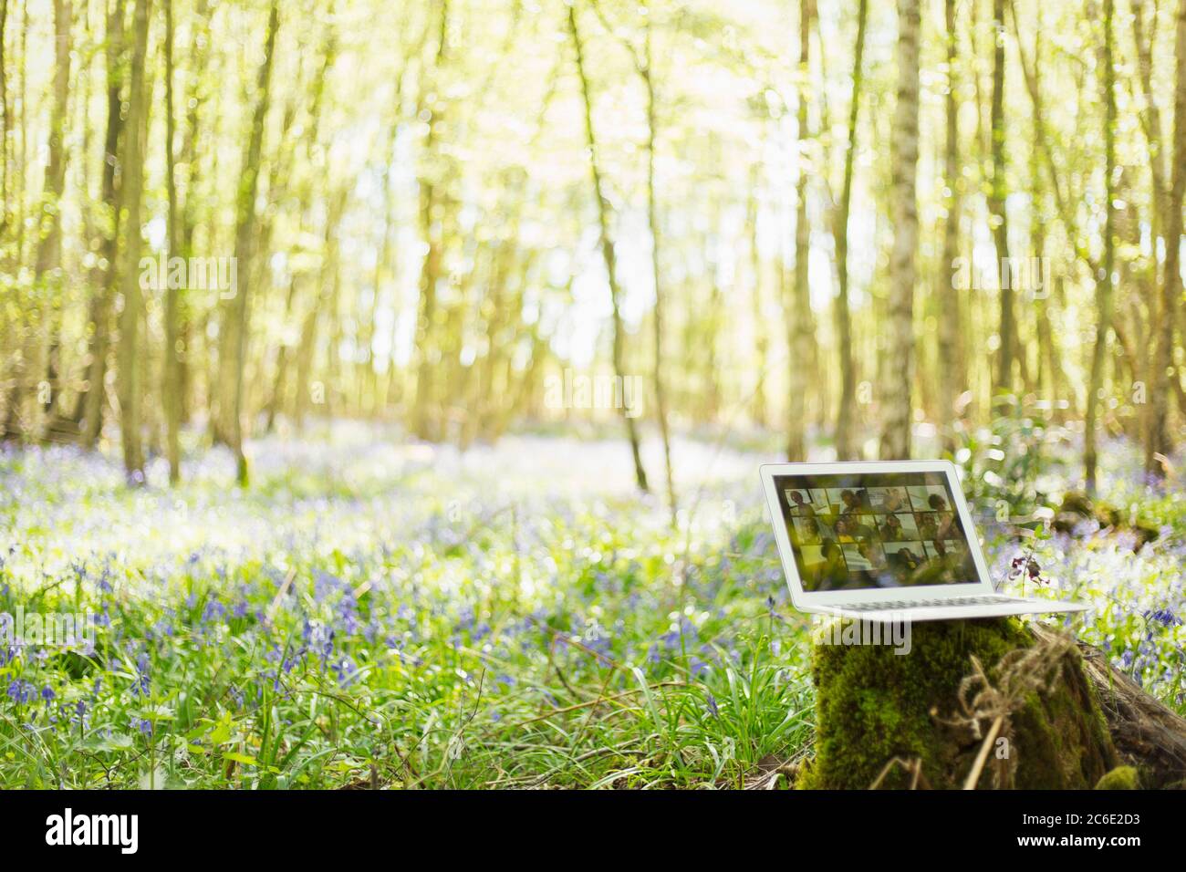 Amici che videochattano sullo schermo del laptop in idilliaci boschi soleggiati Foto Stock