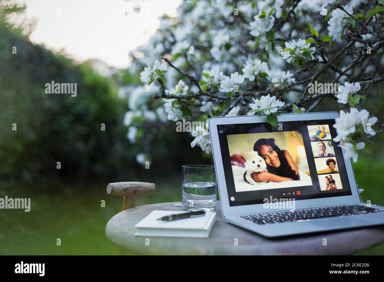 Chat video degli amici sullo schermo del computer portatile in un tranquillo giardino Foto Stock