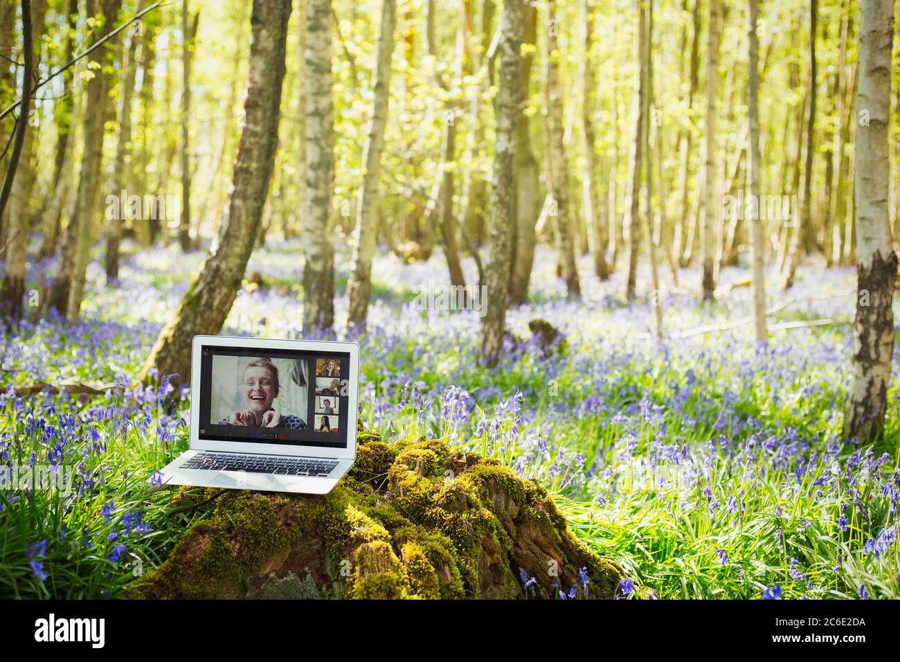 Amici che videochattano sullo schermo del laptop in boschi idilliaci Foto Stock