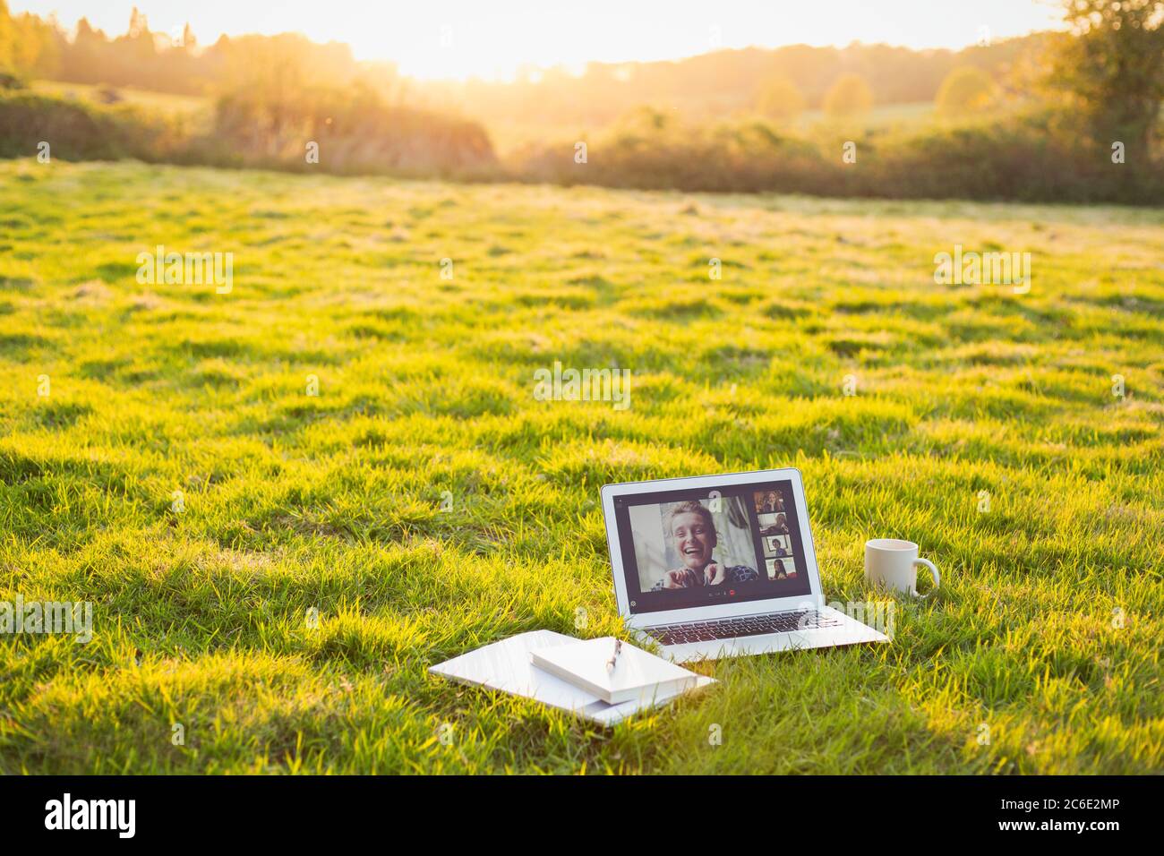 Chat video degli amici sullo schermo del computer portatile in erba soleggiato Foto Stock