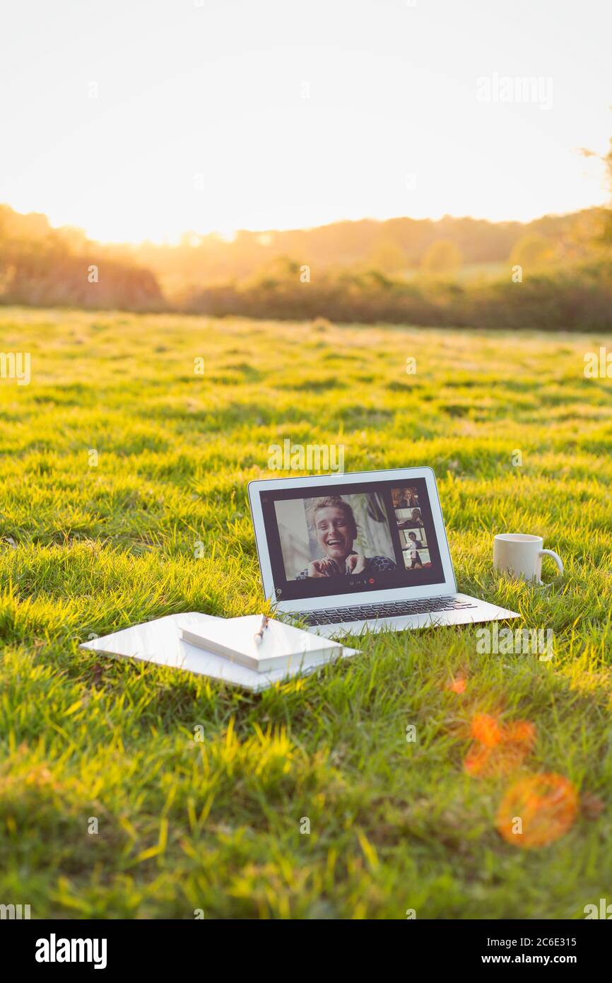 I colleghi videochattano sullo schermo del laptop in erba soleggiato Foto Stock