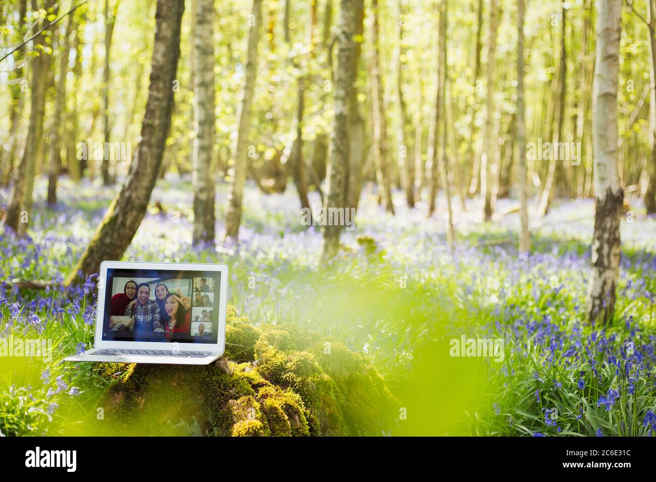 Amici che videochattano sullo schermo del laptop in legno soleggiato Foto Stock