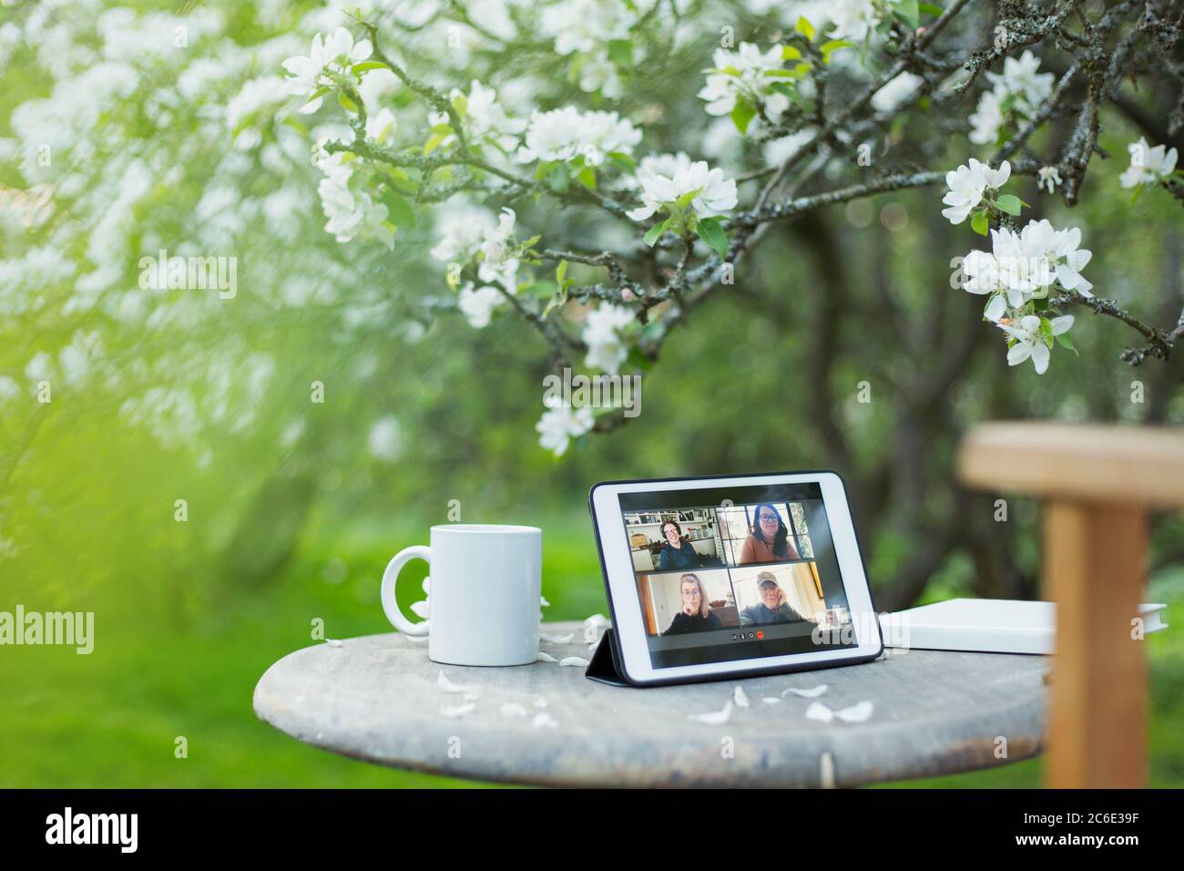I colleghi stanno chattando video sullo schermo del tablet digitale in giardino Foto Stock