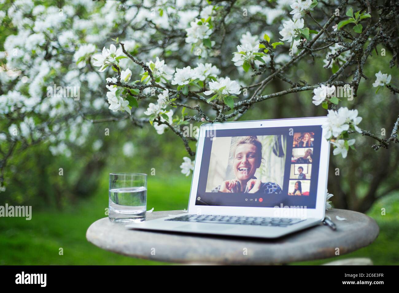 Video chat degli amici sullo schermo del laptop sotto l'albero fiorito in giardino Foto Stock