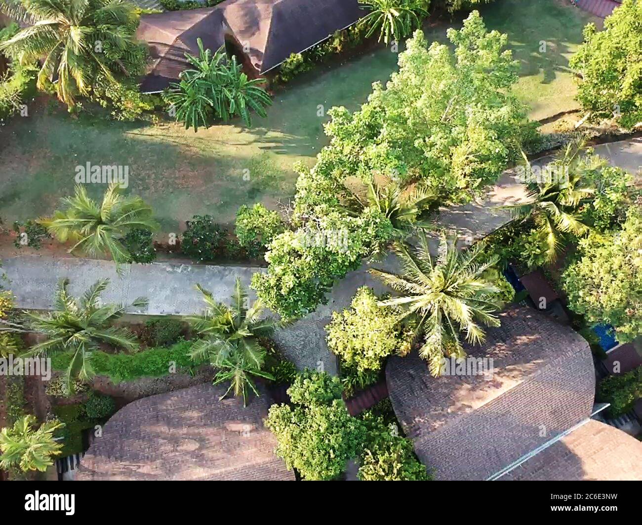 Dall'alto di palme e tetti di edifici in cortile verde in giornata di sole Foto Stock