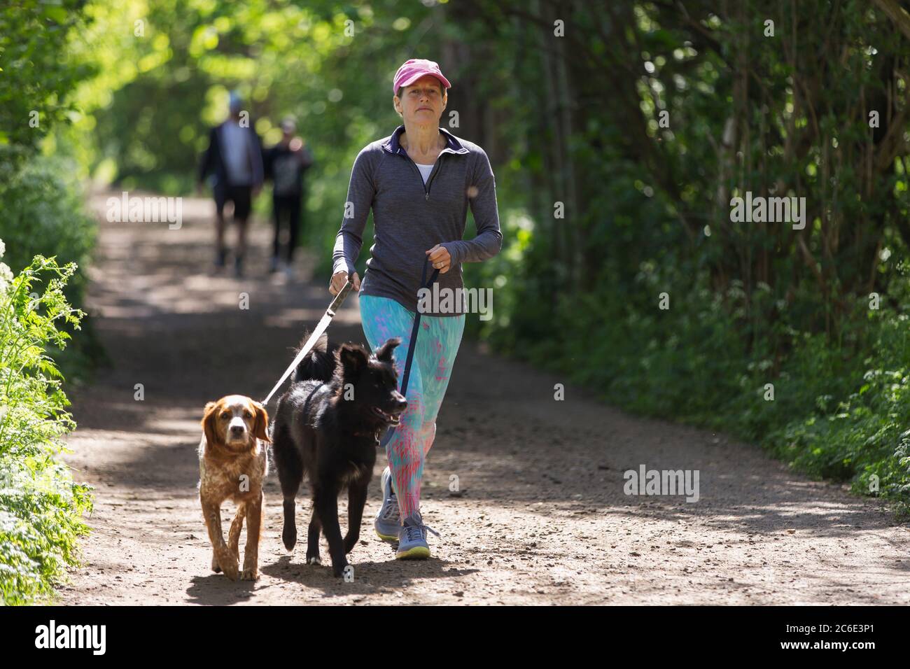 Donna con cani che camminano lungo un sentiero soleggiato nel parco Foto Stock