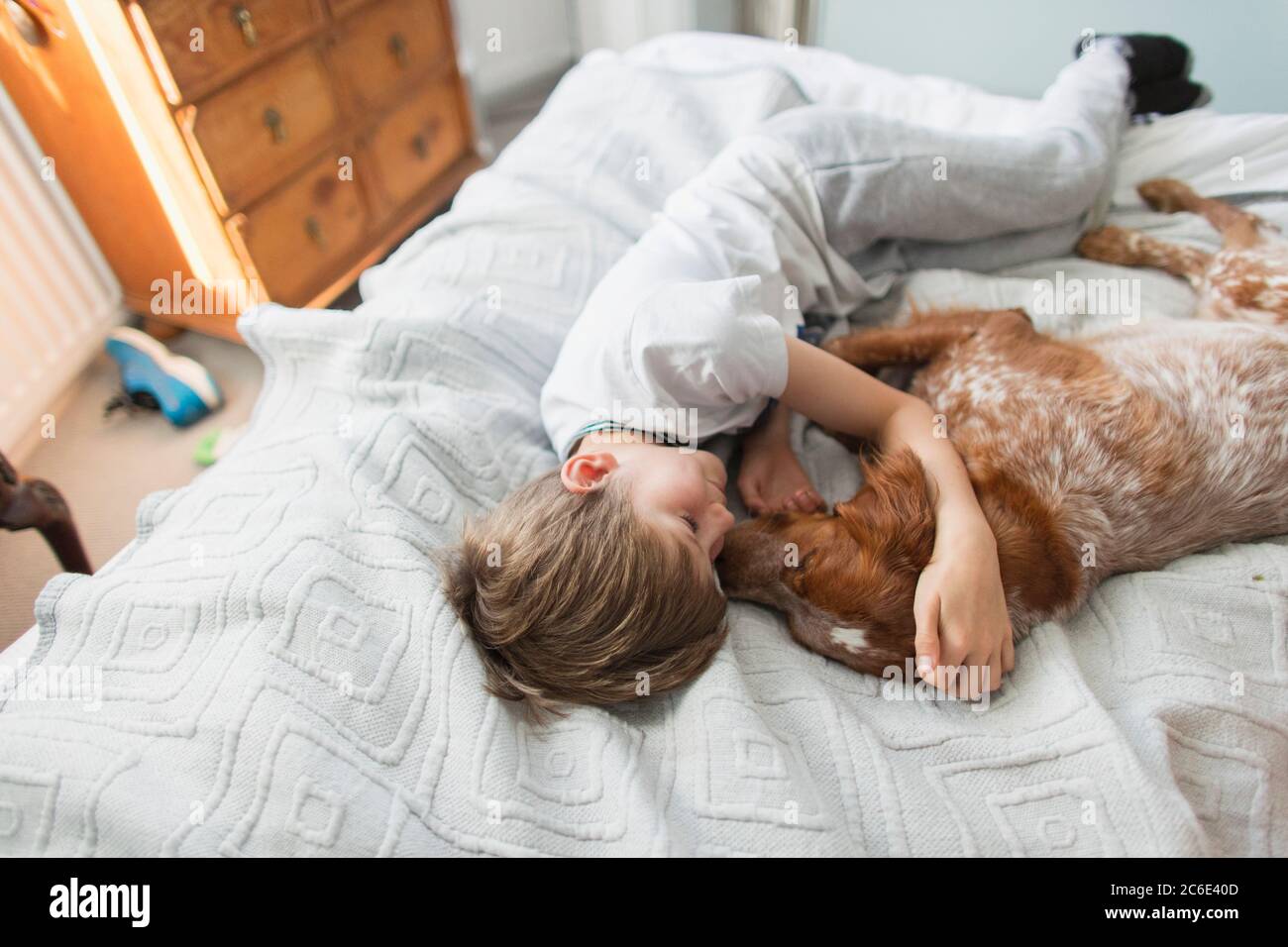 Affettuoso cane da coccolare ragazzo sul letto Foto Stock