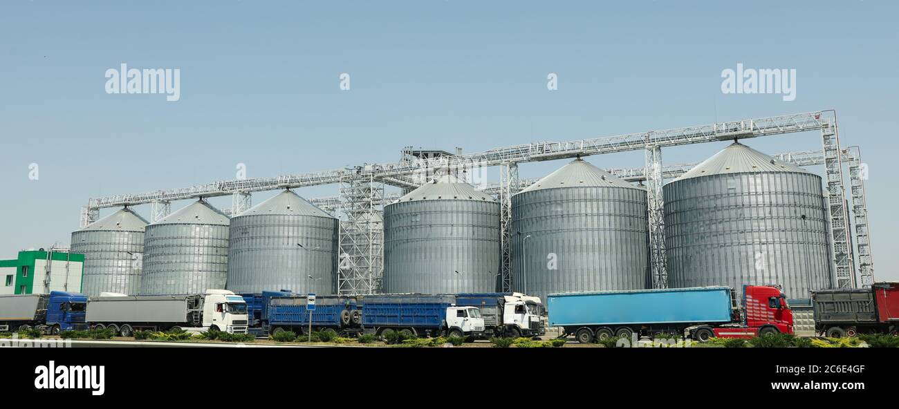 Grano silos. Terminale granella. Attività agricola. Raccolta estiva Foto Stock