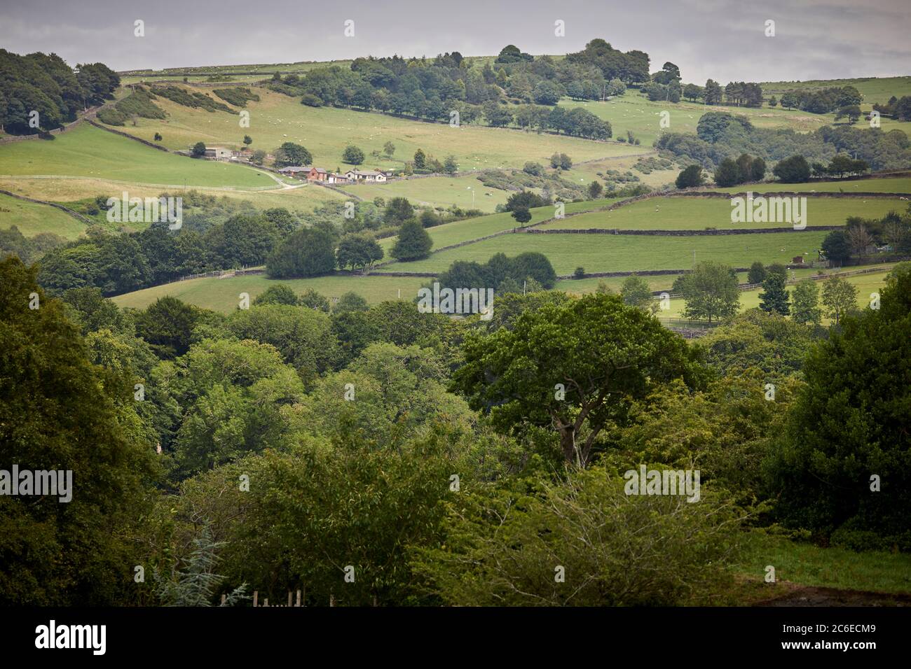 Bollington città in Cheshire paesaggio di campagna Foto Stock