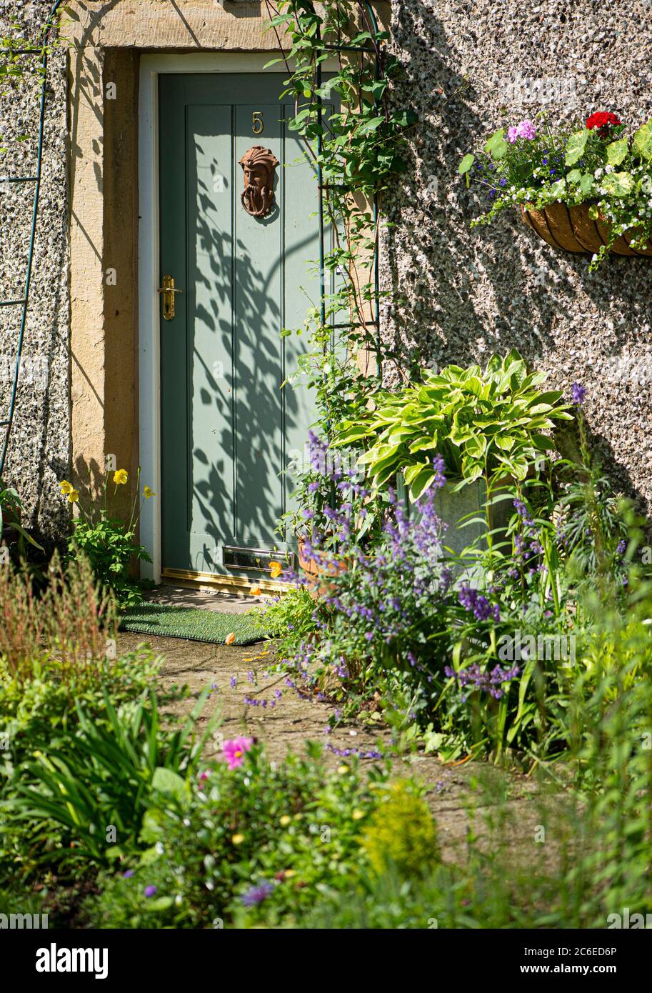 Fiori e piante in un giardino cottage, Chipping, Preston, Lancashire, Inghilterra, Nord Ovest, Regno Unito. Foto Stock