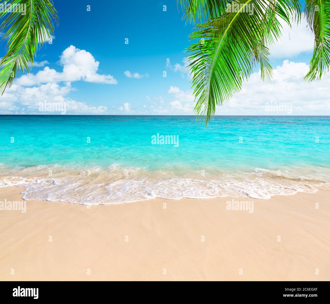 Palme da cocco contro il cielo blu e la bellissima spiaggia di Punta Cana, Repubblica Dominicana. Sfondo vacanze. Vista di un bel tropico Foto Stock