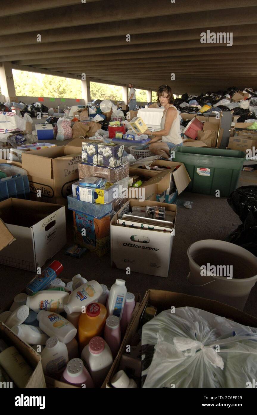 Austin, Texas USA, 6 settembre 2005: Volontari, tra cui Laurie Sjolseth di Dripping Springs, Texas, setacciano migliaia di sterline di donazioni in un parcheggio non utilizzato nella zona est di Austin. I texani centrali diedero quantità record di contanti e merci durante il fine settimana per aiutare gli oltre 200 000 evacuati della Louisiana nello stato. ©Bob Daemmrich Foto Stock Austin, Texas USA, 6 settembre 2005: Volontari, tra cui Laurie Sjolseth di Dripping Springs, Texas, setacciano migliaia di sterline di donazioni in un parcheggio non utilizzato nella zona est di Austin. I texani centrali diedero quantità record di contanti e merci durante il fine settimana per aiutare gli oltre 200 000 evacuati della Louisiana nello stato. ©Bob Daemmrich Foto Stock