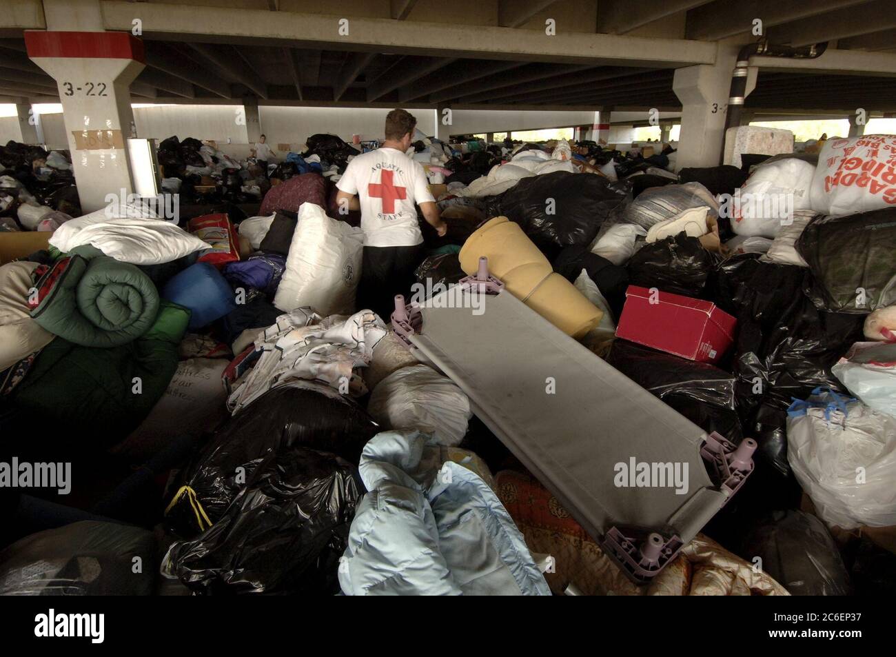 Austin, Texas USA, 6 settembre 2005: Karl Shaw di Austin aiuta a setacciare migliaia di sterline di donazioni in un parcheggio non utilizzato nella zona est di Austin. I texani centrali diedero quantità record di contanti e merci durante il fine settimana per aiutare gli oltre 200 000 evacuati della Louisiana nello stato. ©Bob Daemmrich Foto Stock Austin, Texas USA, 6 settembre 2005: Karl Shaw di Austin aiuta a setacciare migliaia di sterline di donazioni in un parcheggio non utilizzato nella zona est di Austin. I texani centrali diedero quantità record di contanti e merci durante il fine settimana per aiutare gli oltre 200 000 evacuati della Louisiana nello stato. ©Bob Daemmrich Foto Stock