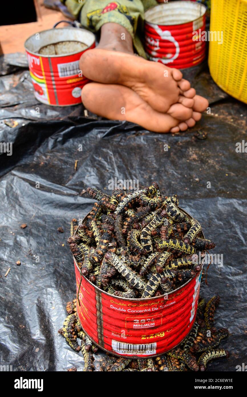 BURKINA FASO, Bobo Dioulasso, Grande MARCHE, mercato, vendita di insetti come proteine / Grosser Markt, Verkauf von Insekten, Raupen, als proteinreiche Nahrung Foto Stock