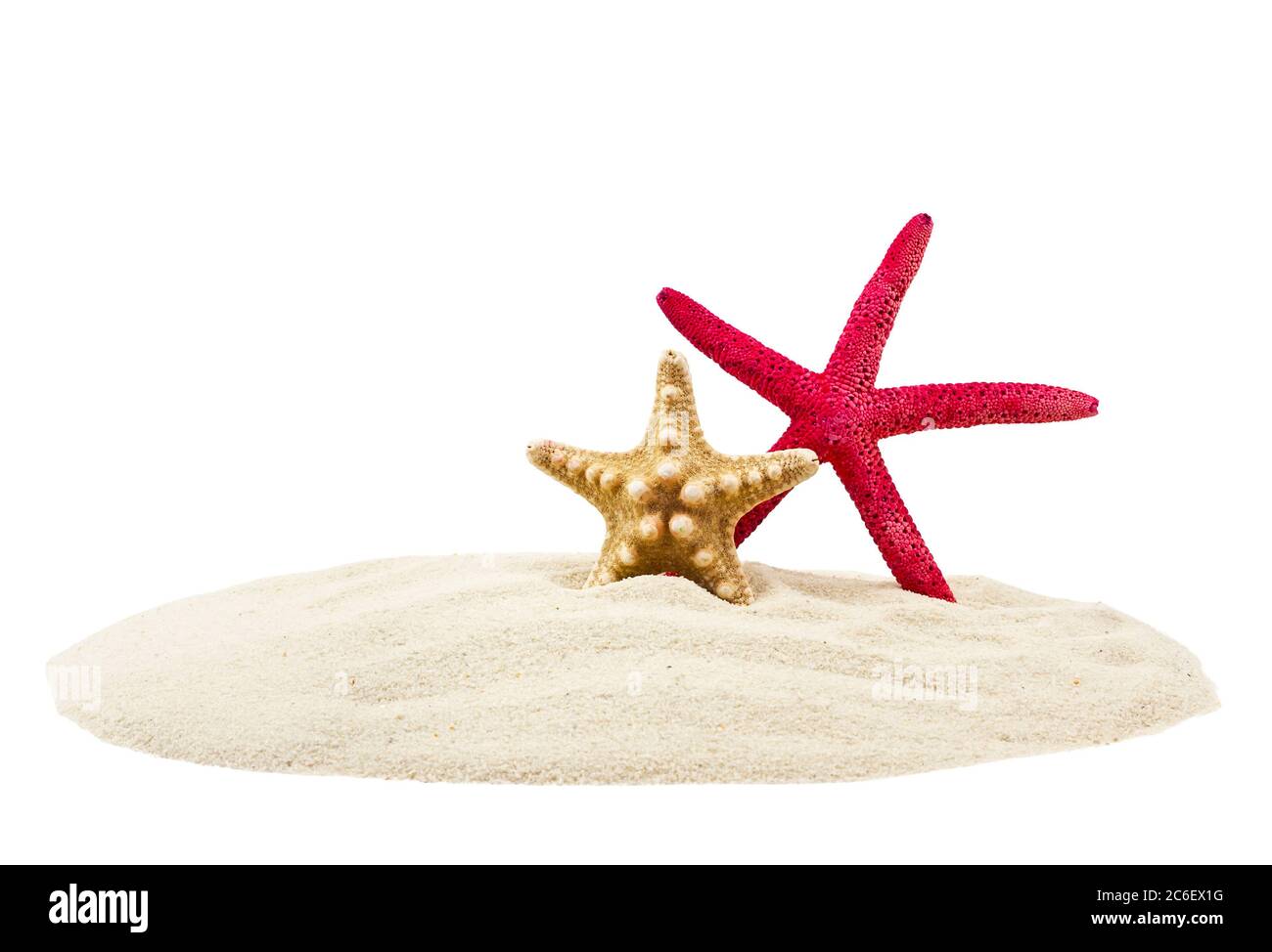 Stelle di mare e sabbia, isolate su sfondo bianco. Concetto di spiaggia estiva. Foto Stock