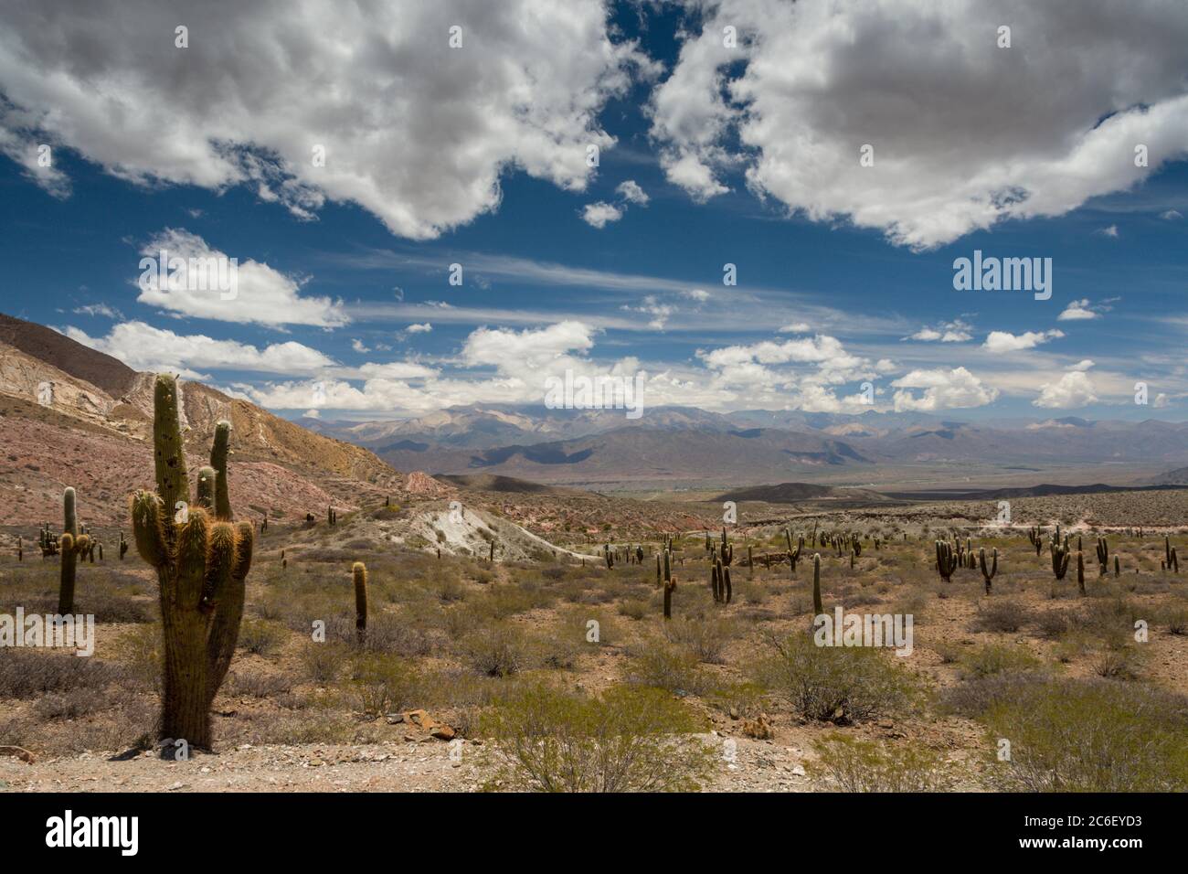 Vista sull'altiplano nel Parque Nacional los Cardones su Ruta 33 nella provincia di Salta, Argentina Foto Stock