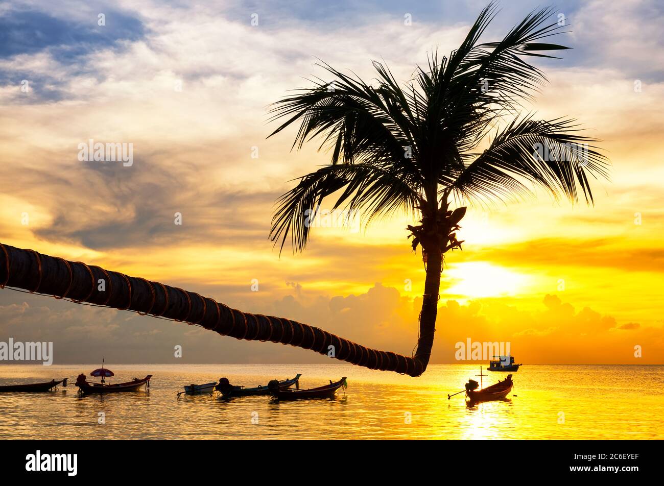 Incredibile tramonto sulla spiaggia tropicale sull'isola di Koh Tao in Thailandia. Palme da cocco contro il cielo drammatico al tramonto. Concetto di spiaggia estiva. Foto Stock