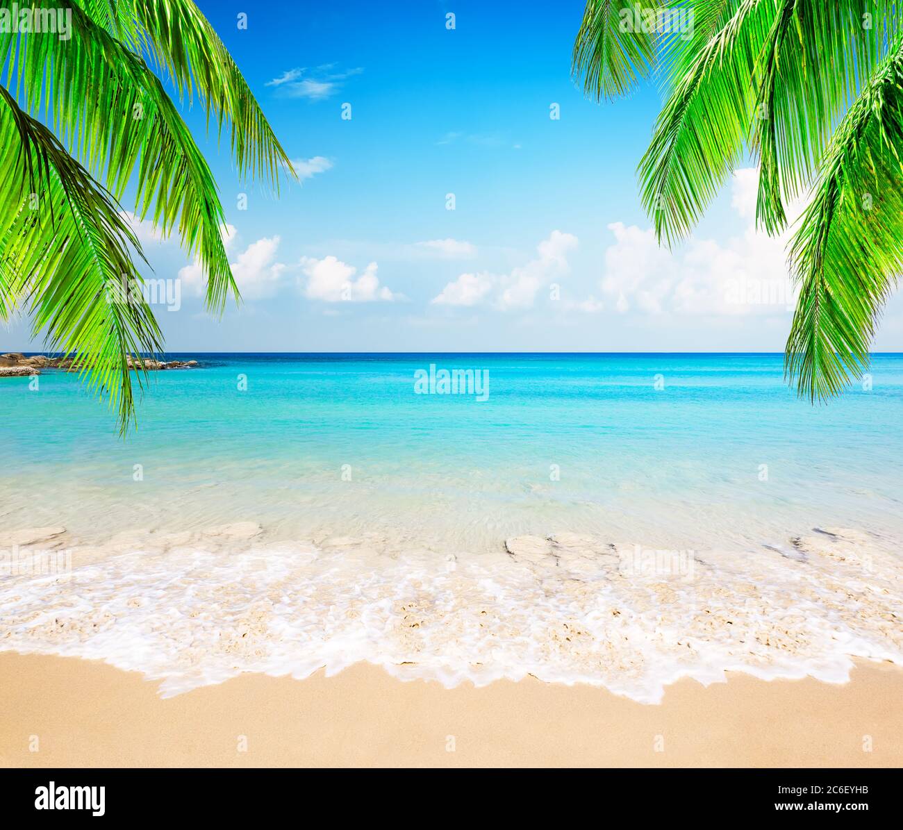 Palme da cocco contro il cielo blu e la bellissima spiaggia di Punta Cana, Repubblica Dominicana. Sfondo vacanze. Vista di un bel tropico Foto Stock