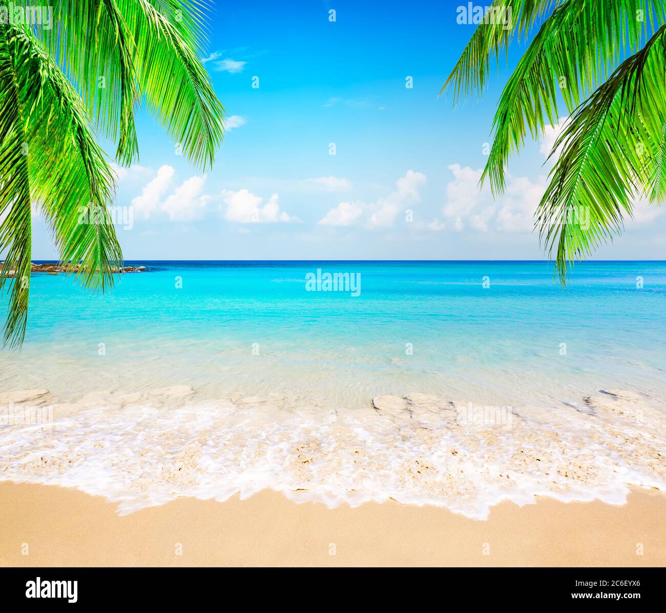 Palme da cocco contro il cielo blu e la bellissima spiaggia di Punta Cana, Repubblica Dominicana. Sfondo vacanze. Vista di un bel tropico Foto Stock