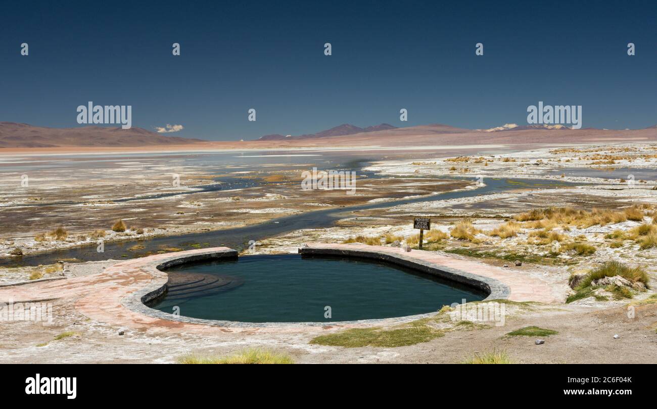 Termas de Polques (sorgenti termali) nella Reserva Nacional de Fauna Andina Eduardo Avaroa nelle Ande in Bolivia Foto Stock