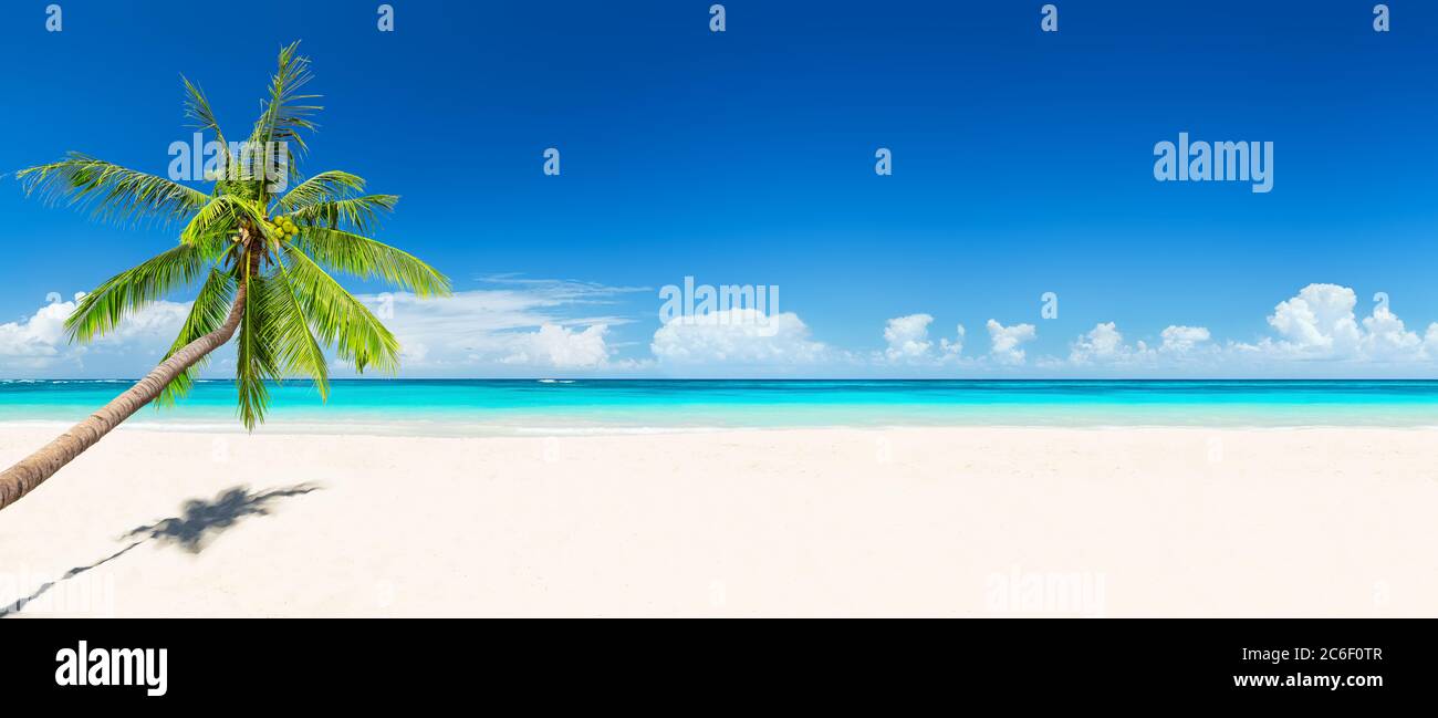 Palme da cocco contro il cielo blu e la bellissima spiaggia di Punta Cana, Repubblica Dominicana. Sfondo vacanze. Vista di un bel tropico Foto Stock