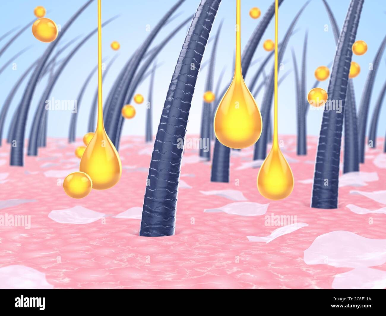 Cuoio Capelluto Irritato, Rimedi Naturali E Non - Foto 3