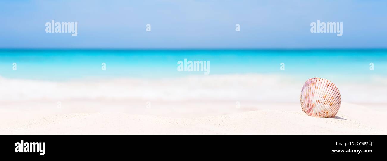 Panorama della spiaggia estiva con stelle marine e sfondo blu. Paesaggio di estate tropicale. Concetto di vacanza estiva. Foto Stock