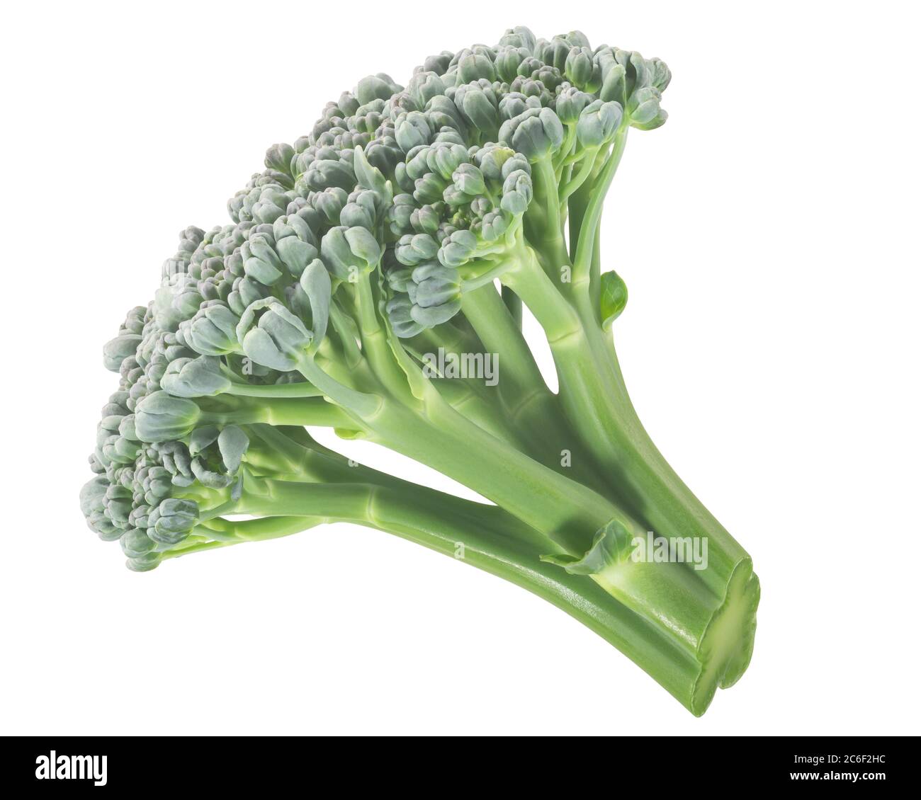 Testa di fiore di broccoli (Brassica oleracea var. Italica) isolata w sentieri di ritaglio. Potente fonte di sulforafano Foto Stock